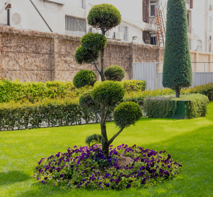 Yard